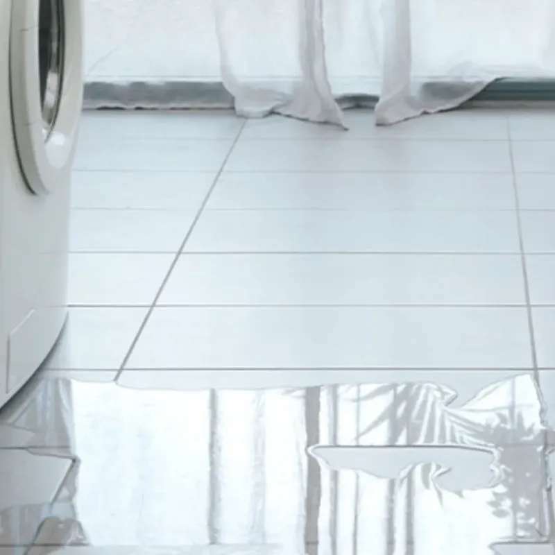 Appliance Leak Cleanup in Kershaw County, SC