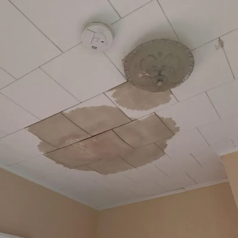 Ceiling Water Damage Repair in Kershaw County, SC