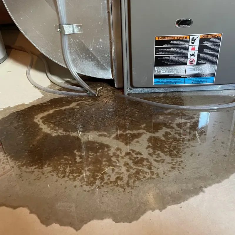 Pipe Burst and Leak Restoration in Kershaw County, SC