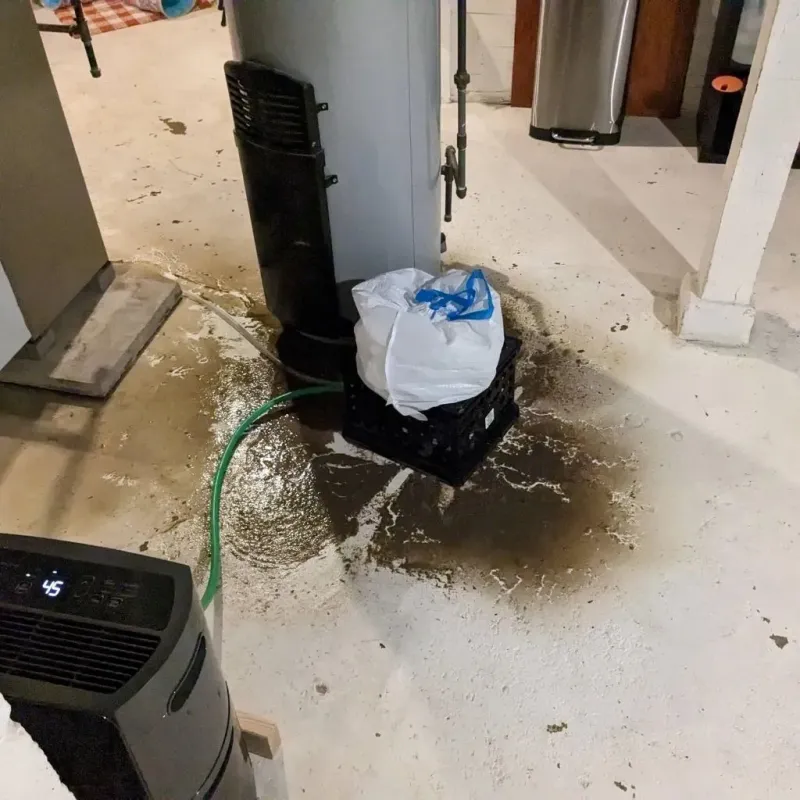 Sewage Backup Cleanup Service in Kershaw County, SC